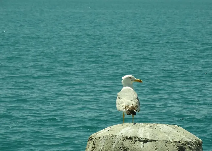 Rainbow 1 Complex Apartmanhotel Napospart